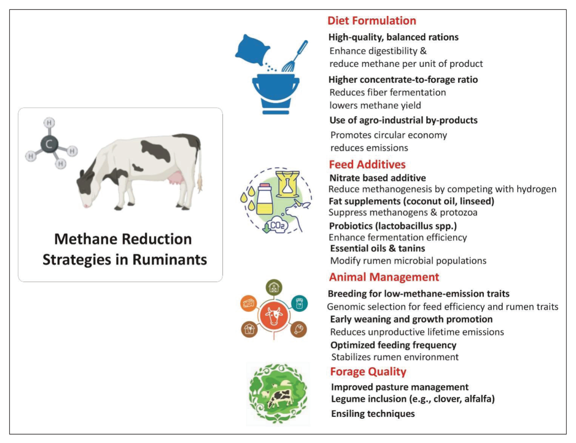 Figure 2 . Diagrammatic summary of various methane reduction strategies in ruminants with coreldraw 9 software.